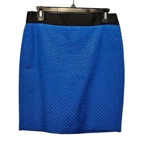 Worthington Cobalt Blue Textured Embroidered Patterned Skirt Size 4
